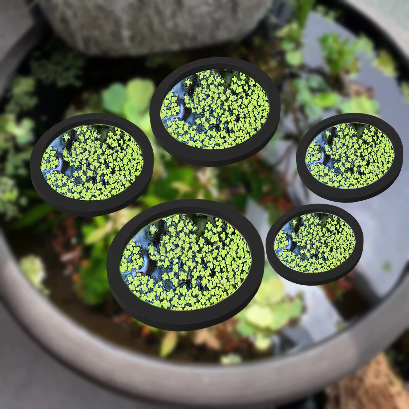 Aquarium Marine Plants - 5Pcs EVA Fish Feeding Ring Aquarium