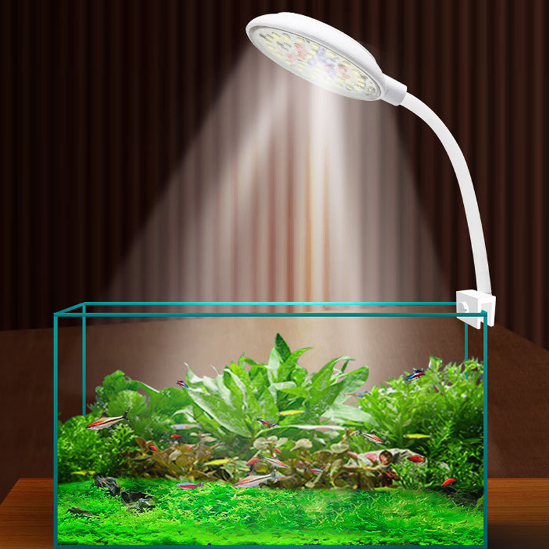 USB Fish Tank Small Clip Light - đánh giá và giá Marine Aquarium Water Change