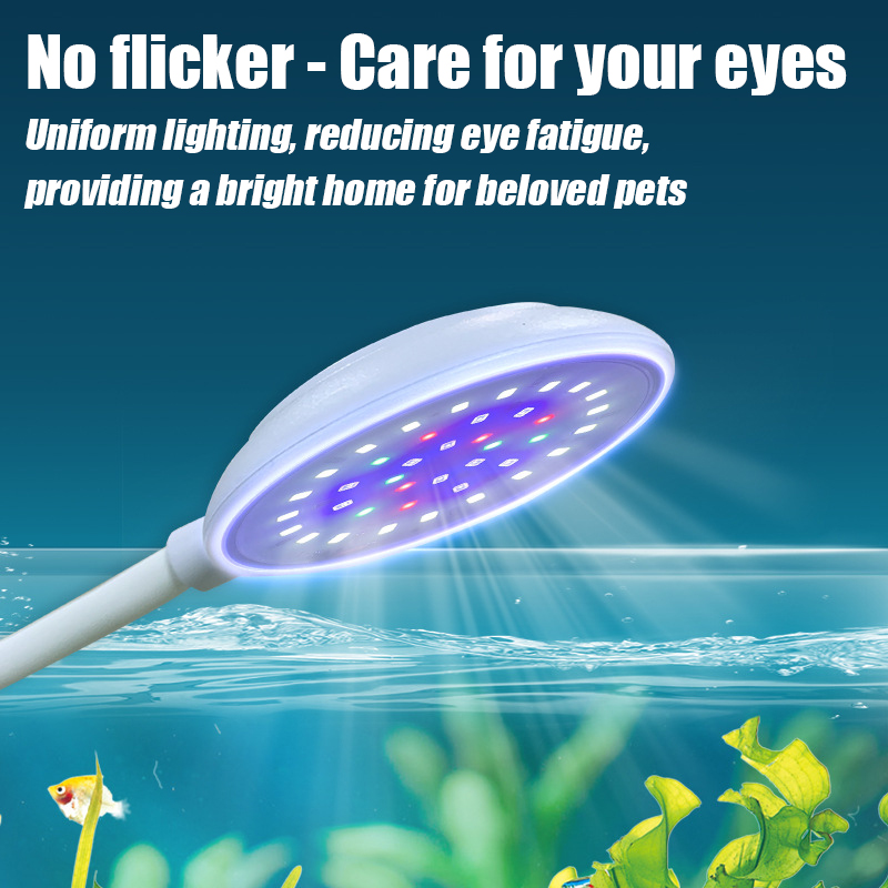 USB Fish Tank Small Clip Light - đánh giá và giá Marine Aquarium Water Change