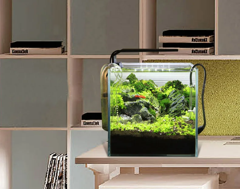 Chihiros C Series ADA Style Pl - đánh giá và giá Aquarium Marine Plants
