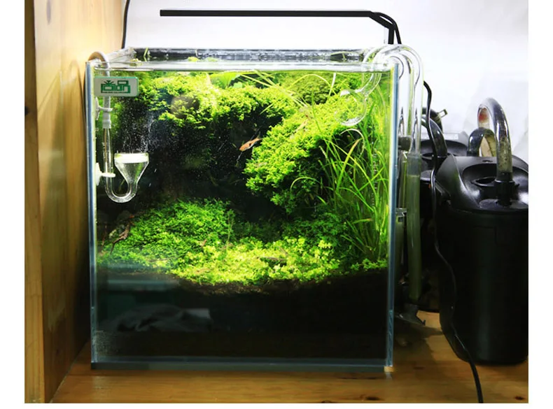 Chihiros C Series ADA Style Pl - đánh giá và giá Aquarium Marine Plants