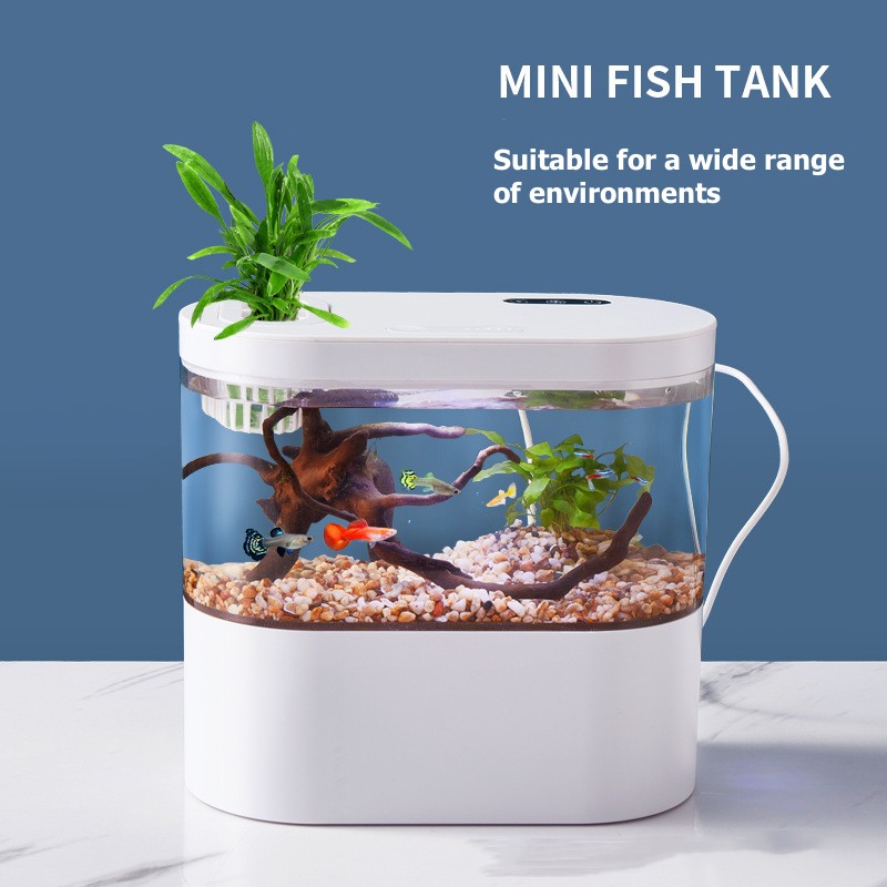 Mini Desktop Aquarium Fish Tan - đánh giá và giá Marine Aquarium Water Change