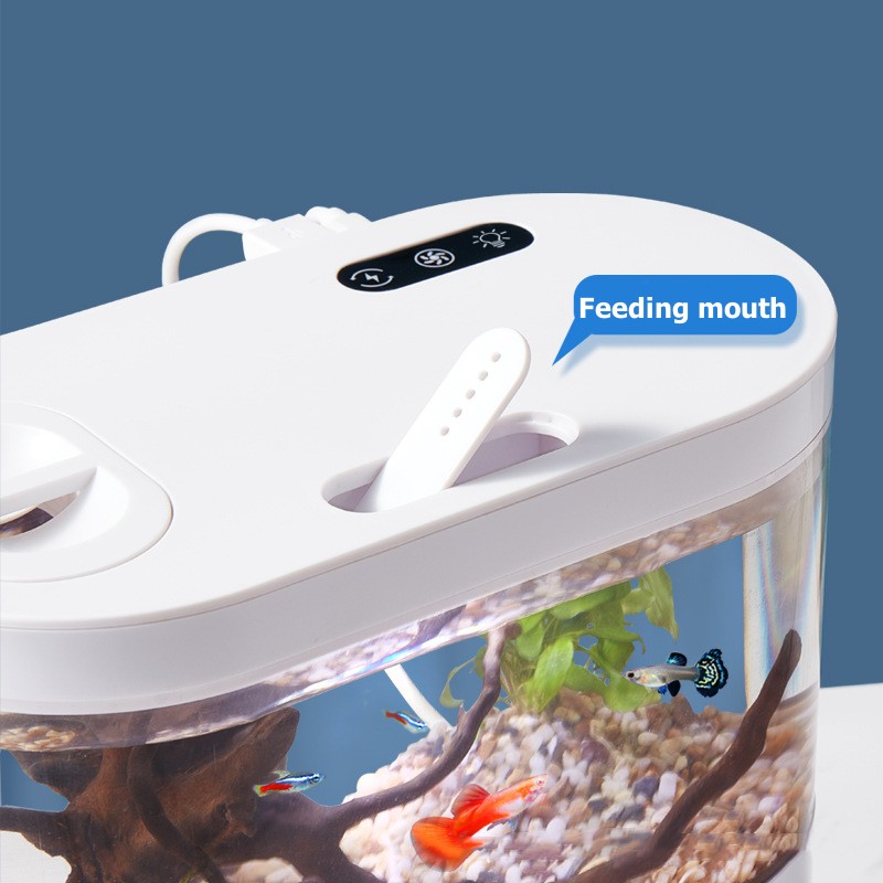 Mini Desktop Aquarium Fish Tan - đánh giá và giá Marine Aquarium Water Change