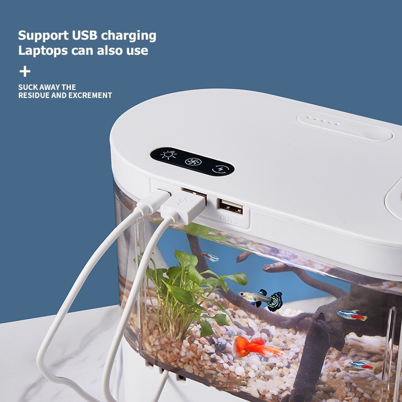 Mini Desktop Aquarium Fish Tan - đánh giá và giá Marine Aquarium Water Change