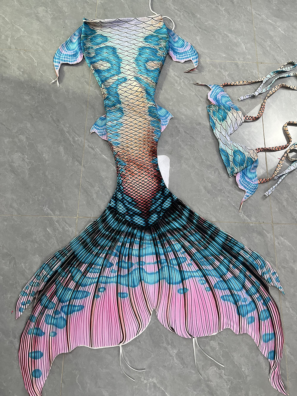 Colorful Dreamy Mermaid Tail A - đánh giá và giá Aquarium & Marine Museum Universiti Malaysia Sabah Kota Kinabalu Sabah Photos