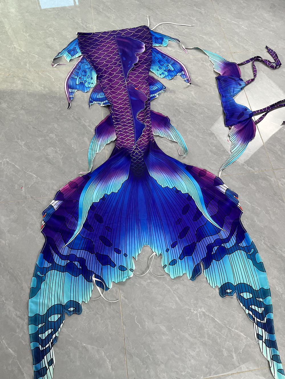 Colorful Dreamy Mermaid Tail A - đánh giá và giá Aquarium & Marine Museum Universiti Malaysia Sabah Kota Kinabalu Sabah Photos