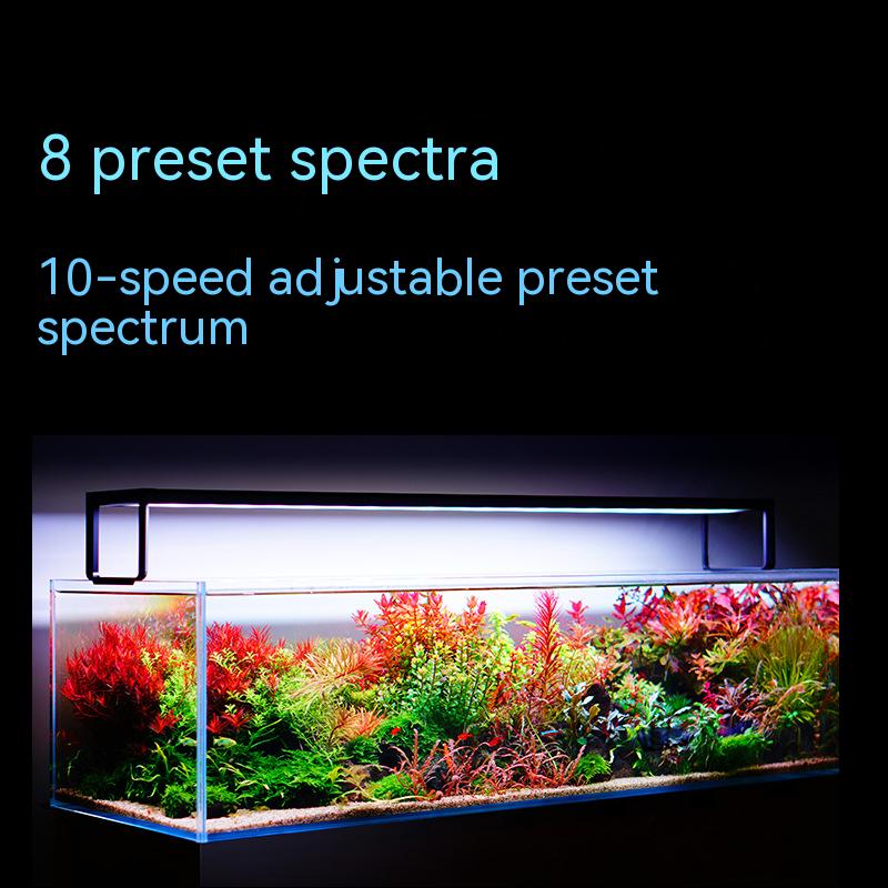 NETLEA 540S/590S Aquarium Full - đánh giá và giá Aquarium Marine Plants