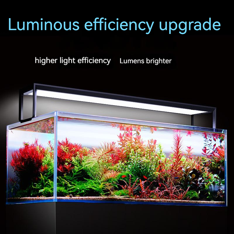 NETLEA 540S/590S Aquarium Full - đánh giá và giá Aquarium Marine Plants