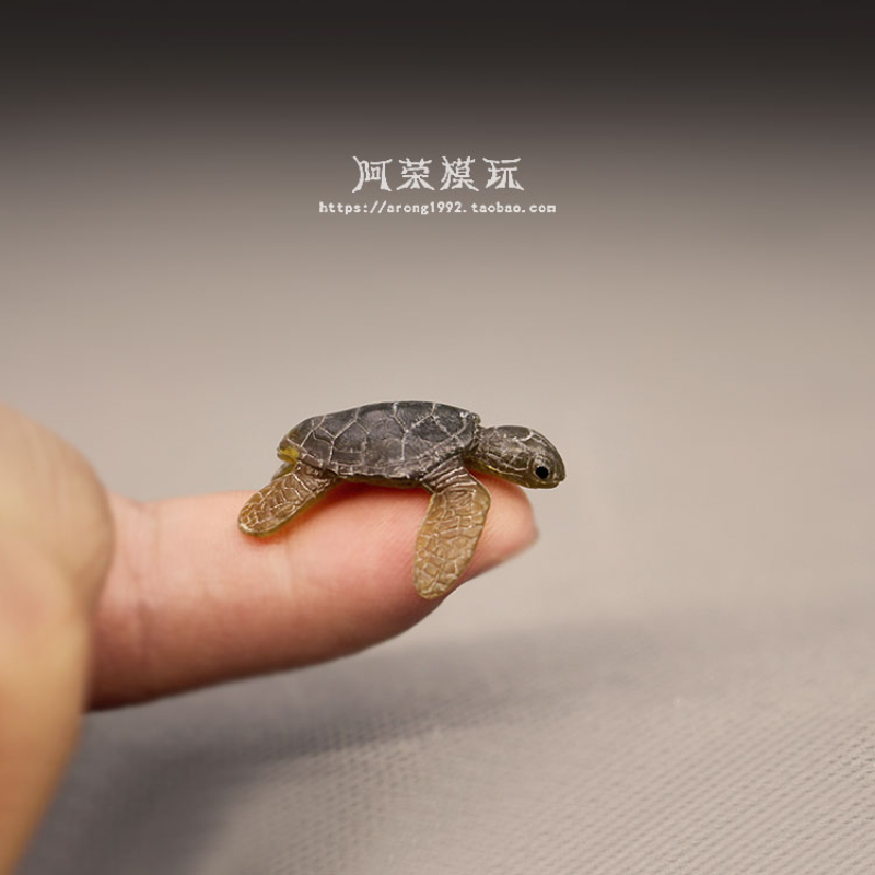 Sinh Vật Biển Rùa Biển Mẫu Đồ  - đánh giá và giá Marine Aquarium Japan