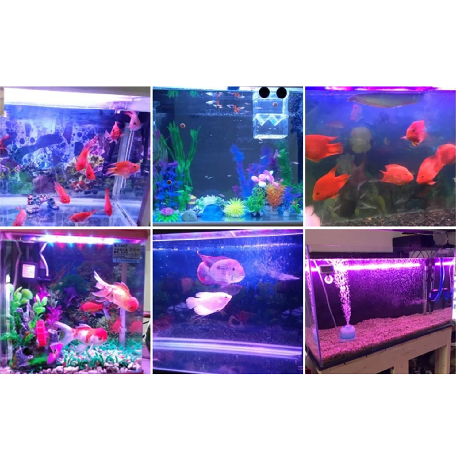 50W 60W 70W 100W RGB 26-28V Hi - đánh giá và giá Aquarium Marine Color