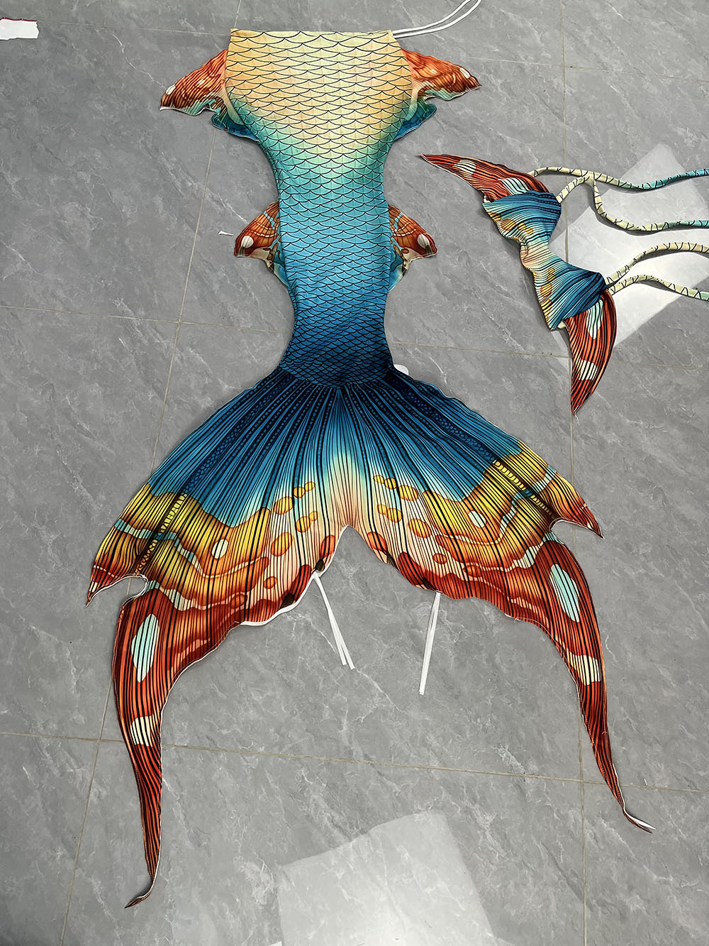 New Pattern Mermaid Tail Merma - đánh giá và giá Aquarium & Marine Museum Universiti Malaysia Sabah Kota Kinabalu Sabah Photos